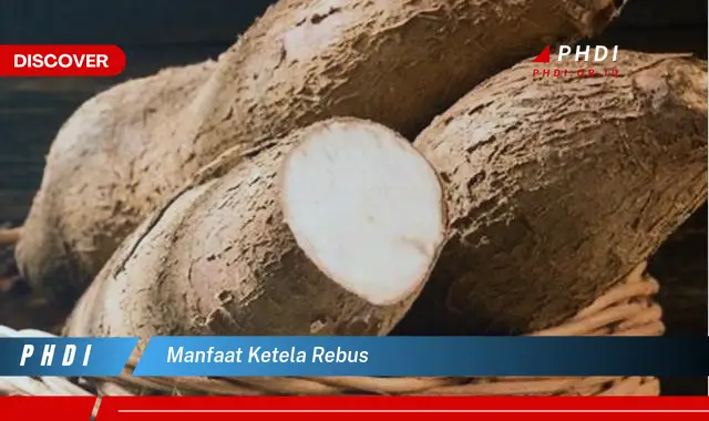 manfaat ketela rebus