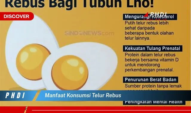 manfaat konsumsi telur rebus