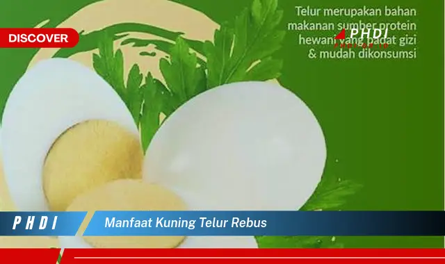 manfaat kuning telur rebus