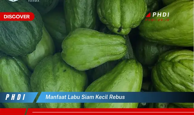 manfaat labu siam kecil rebus