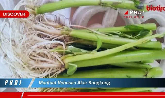 manfaat rebusan akar kangkung