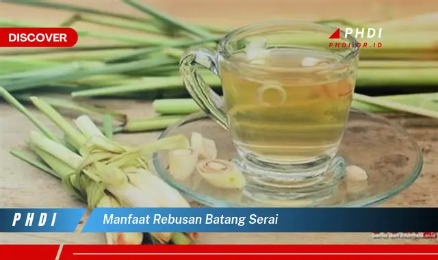 manfaat rebusan batang serai