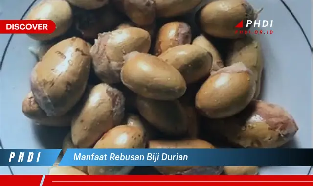 manfaat rebusan biji durian