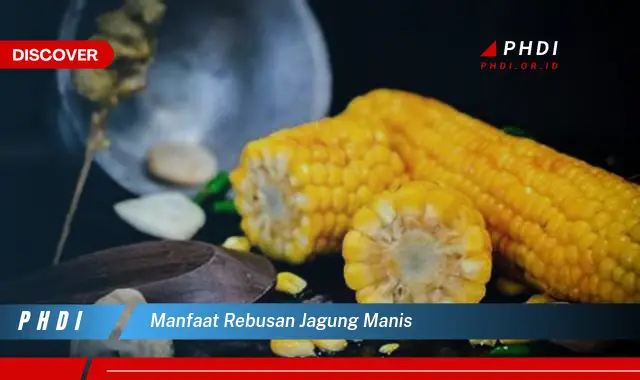 manfaat rebusan jagung manis