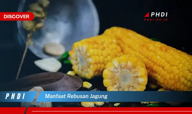 manfaat rebusan jagung