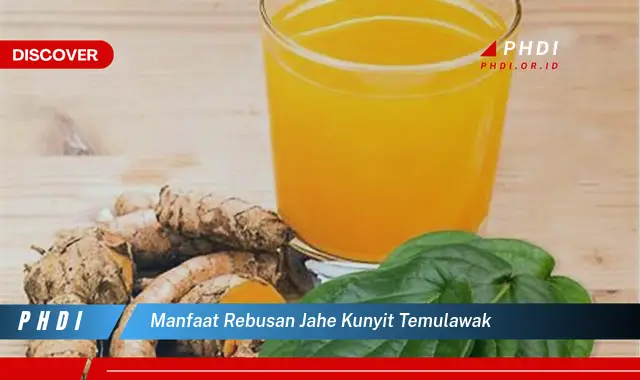 manfaat rebusan jahe kunyit temulawak