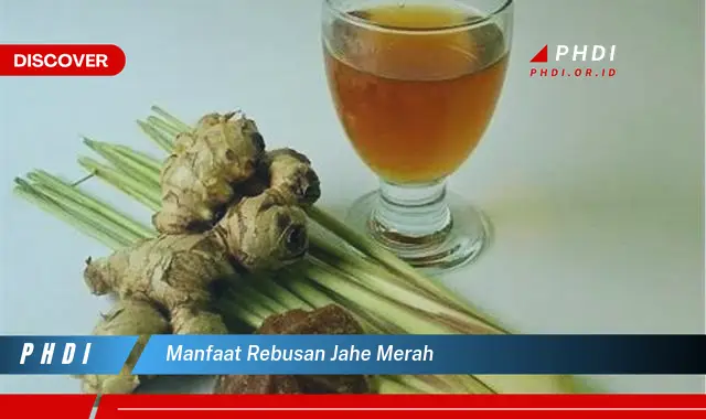 manfaat rebusan jahe merah