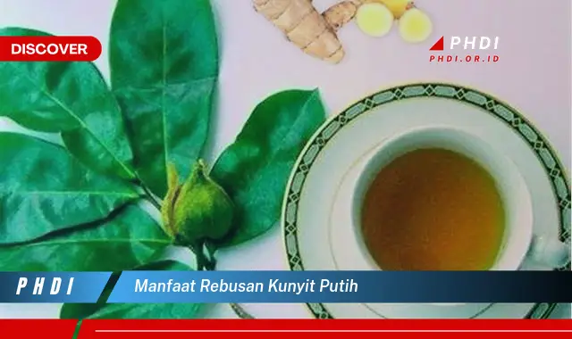 manfaat rebusan kunyit putih