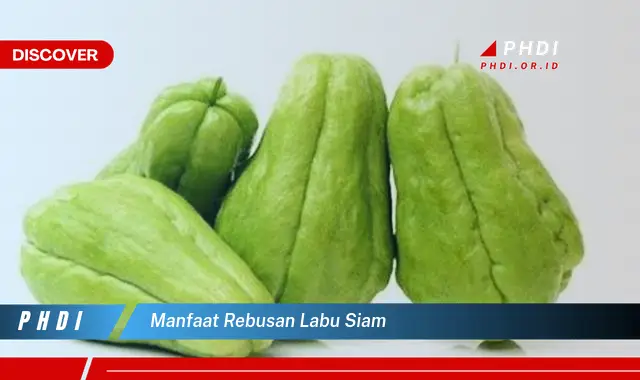 manfaat rebusan labu siam