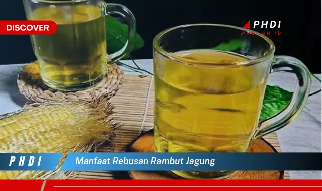 manfaat rebusan rambut jagung