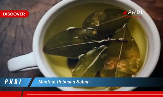 manfaat rebusan salam