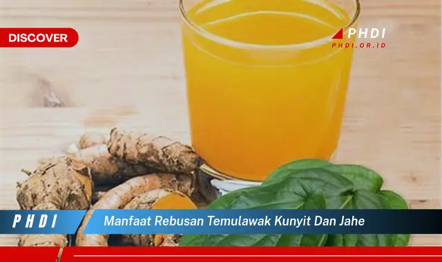 manfaat rebusan temulawak kunyit dan jahe