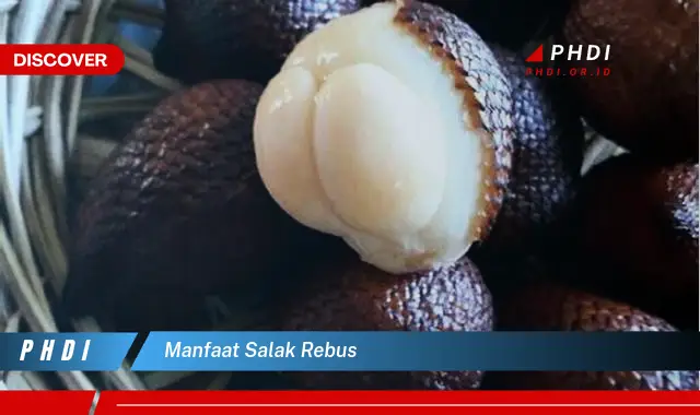 manfaat salak rebus