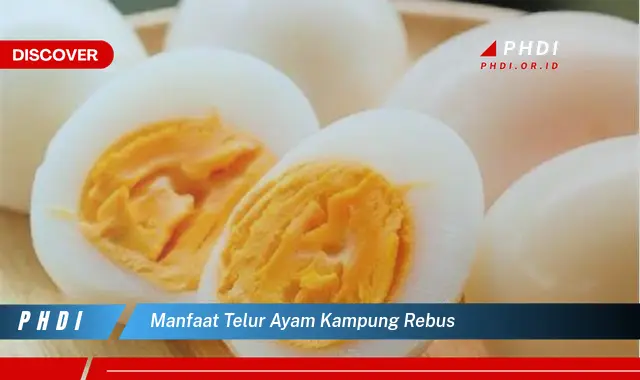 manfaat telur ayam kampung rebus