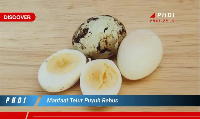 manfaat telur puyuh rebus