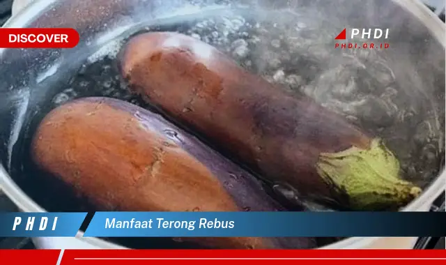 manfaat terong rebus