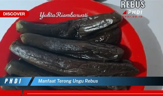 manfaat terong ungu rebus