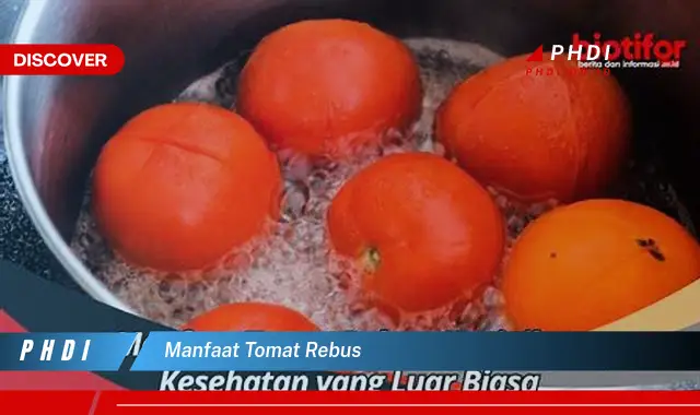 manfaat tomat rebus