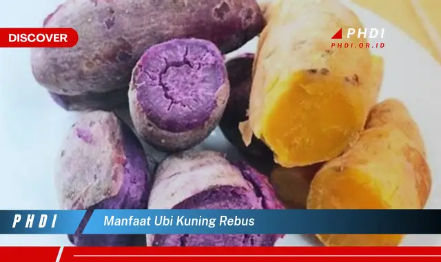 manfaat ubi kuning rebus