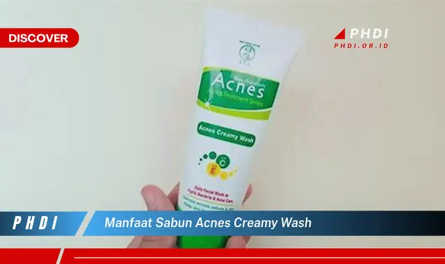 manfaat sabun acnes creamy wash