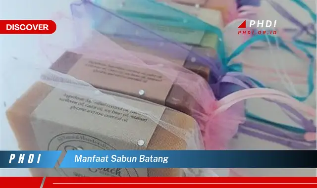 manfaat sabun batang