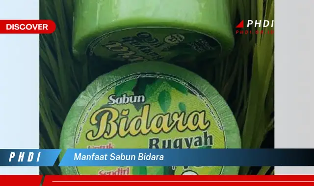 manfaat sabun bidara