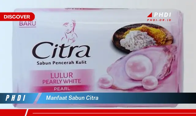 manfaat sabun citra