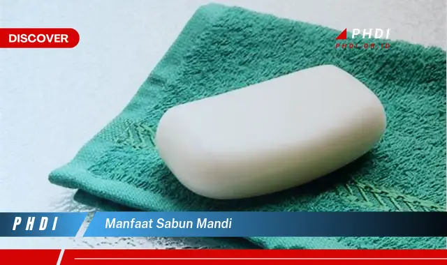 manfaat sabun mandi