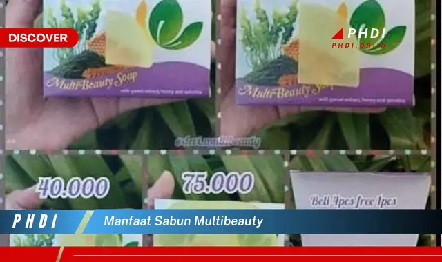 manfaat sabun multibeauty