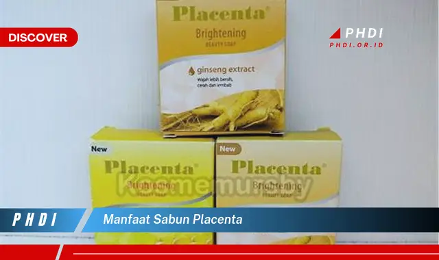 manfaat sabun placenta