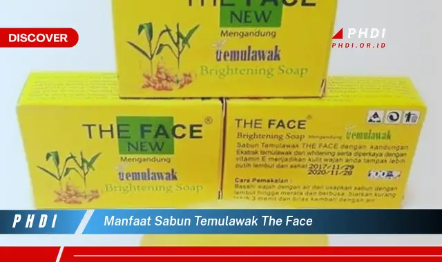 manfaat sabun temulawak the face