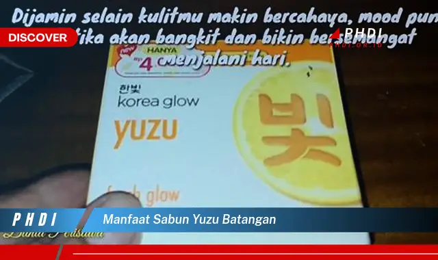 manfaat sabun yuzu batangan