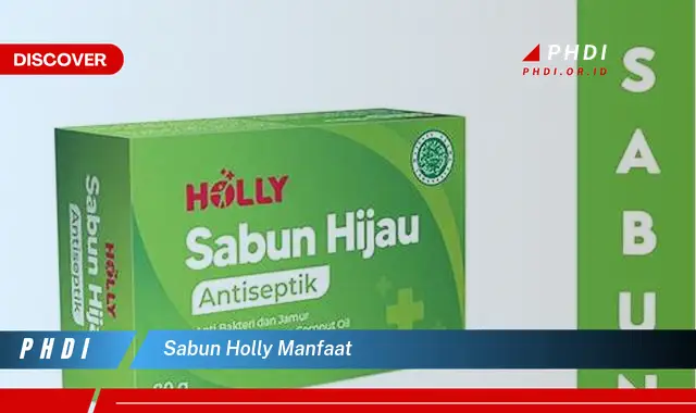 sabun holly manfaat