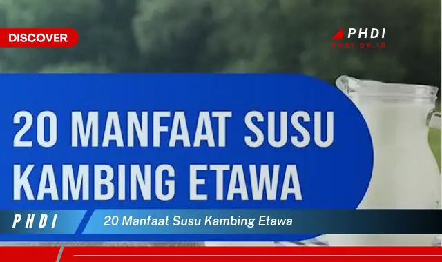 20 manfaat susu kambing etawa