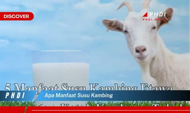 apa manfaat susu kambing