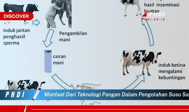 manfaat dari teknologi pangan dalam pengolahan susu sapi