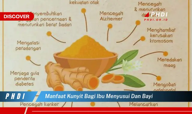 manfaat kunyit bagi ibu menyusui dan bayi