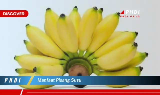 manfaat pisang susu