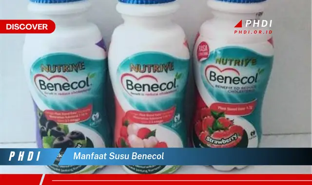 manfaat susu benecol