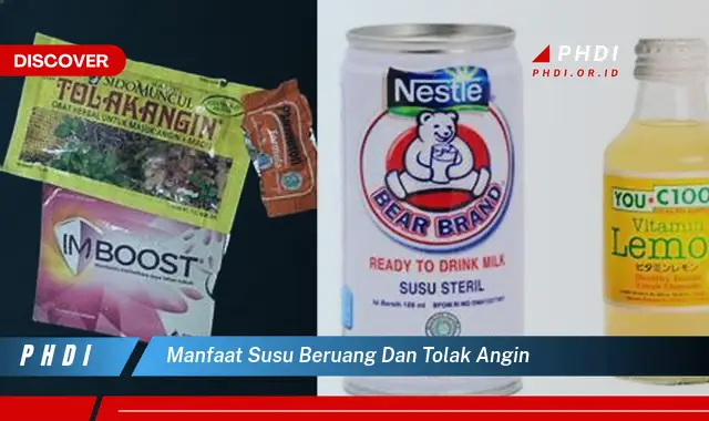 manfaat susu beruang dan tolak angin