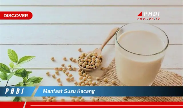 manfaat susu kacang