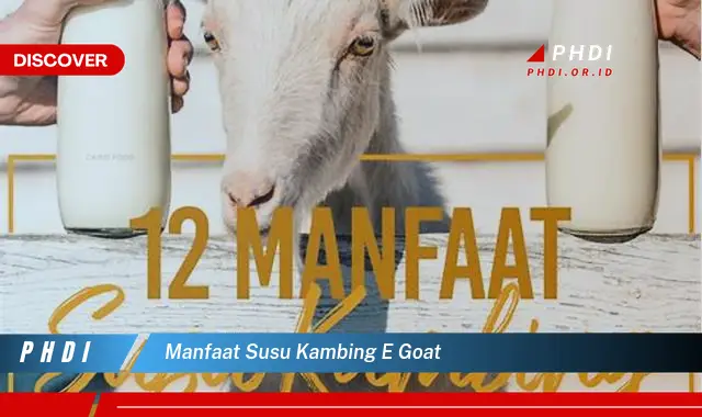 Ketahui 7 Manfaat Dahsyat Susu Kambing E-Goat yang Wajib Kamu Intip