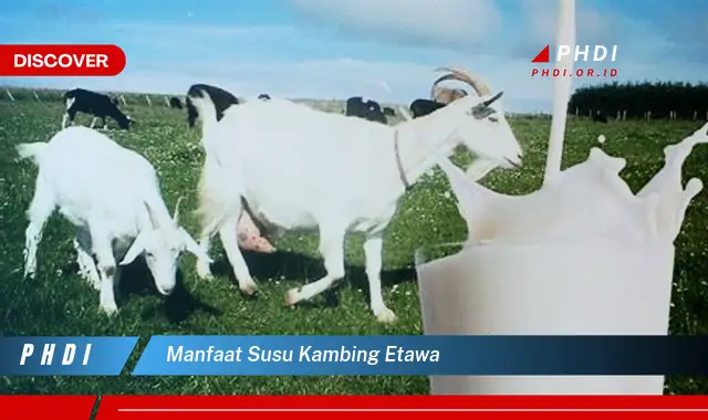 manfaat susu kambing etawa