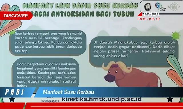 manfaat susu kerbau