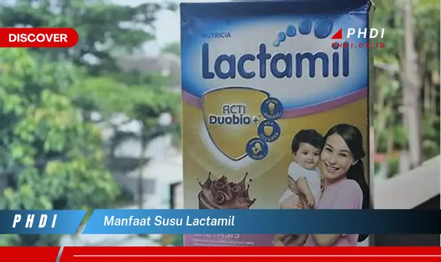 manfaat susu lactamil