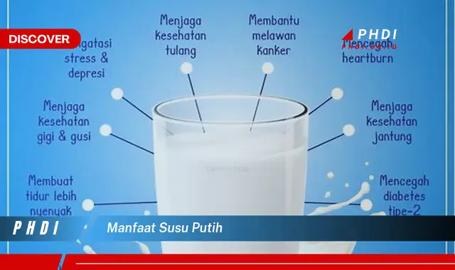 Temukan 7 Manfaat Susu Putih yang Wajib Kamu Tahu!