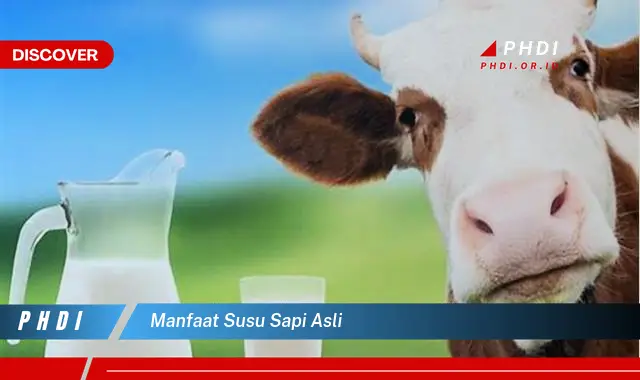 manfaat susu sapi asli