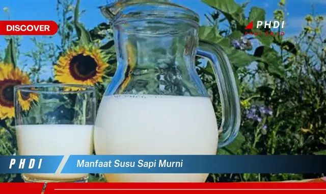 manfaat susu sapi murni