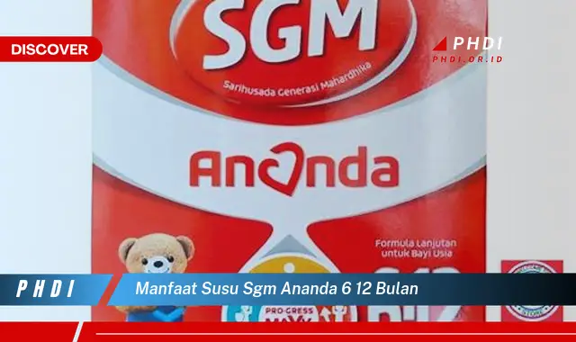 Temukan Manfaat Susu SGM Ananda 6 12 Bulan yang Jarang Diketahui
