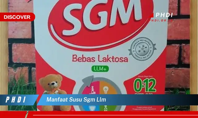 Temukan Manfaat Susu SGM LLM yang Jarang Diketahui dan Wajib Kamu Intip